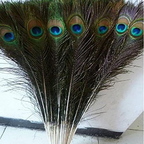 Pumcraft DIY nakit Prirodni pravi paun perje za zanat DIY Jewelrys 10-80cm 50-200pcsDIY Home Hotel