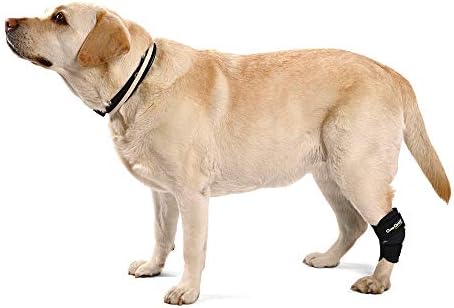 Ortocanis-Hock podrška za pse sa osteoartritisom, povredama ligamenata ili zapaljenjem tetiva,