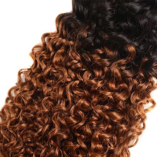 Brown water wave snopovi Ombre Human Hair snopovi 1b / 30 boja brazilska smeđa Remy Hair Weave dvostruka potka