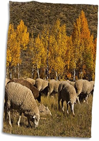 3d ruža za praćenje festivala ovaca-jesen-Ketchum-Idaho-USA ručnik za ruke, 15x 22
