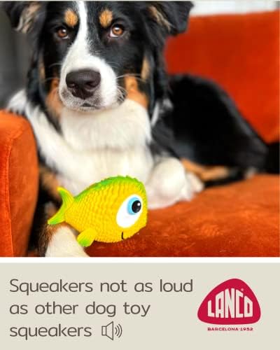 Senzorna riba - škripave igračke za pse - meka, prirodna guma - za štenad, male pse, srednje pse i slijepe pse - Unutarnja igranja - u skladu s istim sigurnosnim standardima kao i dječje igračke