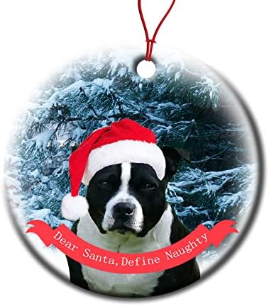 Chesapeake Bay Retriver pas keramička Jelka Ornament 3 životinja u Santa šešir Holiday viseći Ornament Nova godina Zima poklon