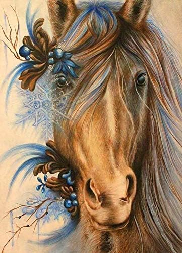 Aimukilado DIY Diamond Slikarski konj Puna bušilica Konjska boja sa dijamantima Konjski setovi za