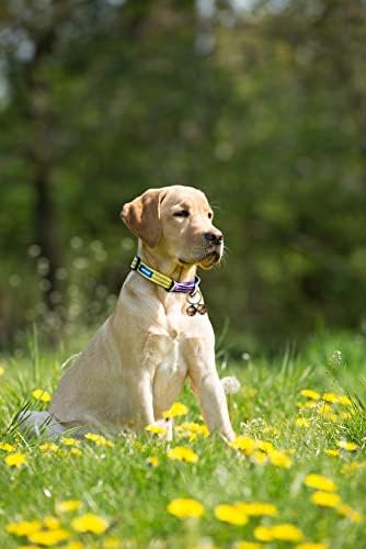 CAT & DOG CALLOR Bell, paket od 2, ekstra glasno pseće zvono za praćenje kućnih ljubimaca i štednju divljih