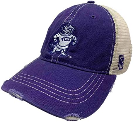 TCU rogate žabe Retro brend Purple Vintage Distressed Mesh Snapback kapa za šešir