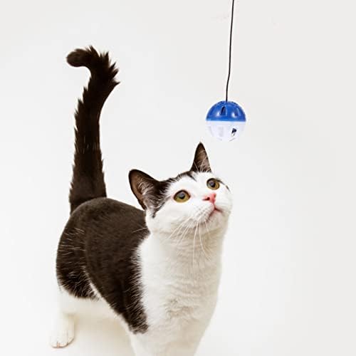 Ipetboom bradati zmaj rezervoar dodatna oprema prozor usisna čaša mačka igračka 10kom interaktivna igračka