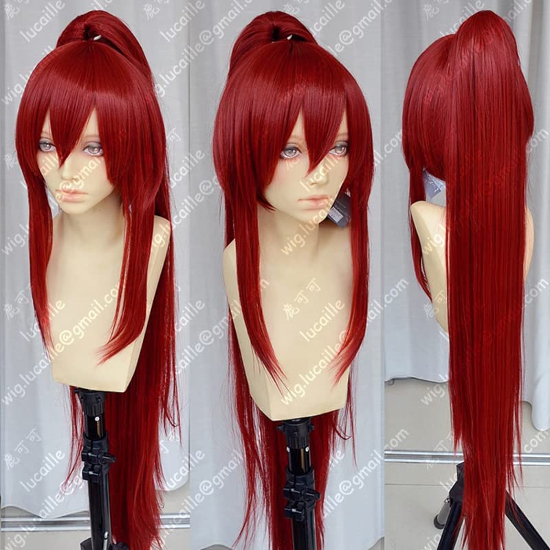 Rofye perika za 39 100cm duga vino crvena Erza Scarlet otporna na toplotu rep Hair Anime Fairy Tail Cosplay kostim perika + besplatno perika kapa