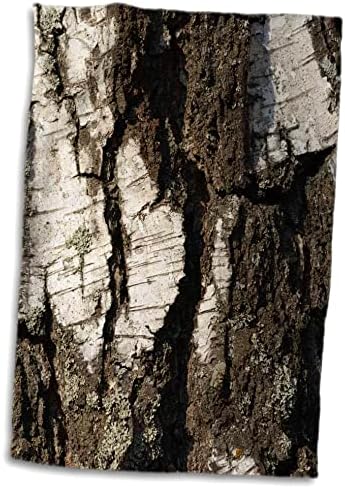 3Droza Sunlit Grunge, gruba breza kore. Tekstura drveta. View zatvaranja - ručnici