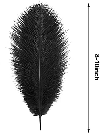 Quefe 30pcs crni noj feethe, prirodno perje šljiva 10-12 inčnih skupno za ukrase obrtni obrtni