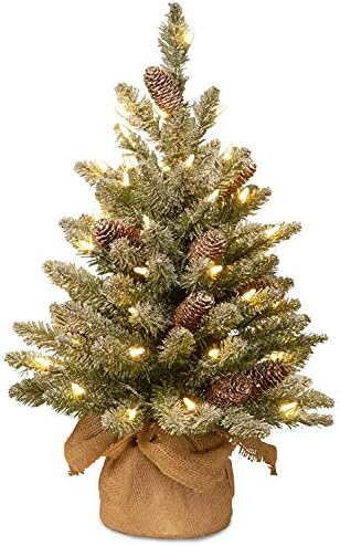 Nacionalna stabla Prethodno veštačko mini božićno drvo | Sadrži mala bijela LED svjetla i bazu tkanina | Snowy Concolor Fir - 2 Ft