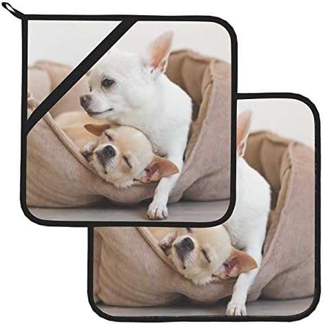 Hug Slatki psi za pse životinjski potprkač za životinje otporne na toplinu za kuhinje 2 kom. Potholder 8 × 8 inča za kuhanje i pečenje