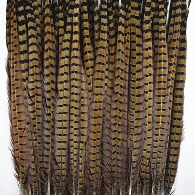 50kom Ringneck fazan rep perje dekoracija spajanje dugo Carnaval prirodni vrh sa Pero na glavi 70-75cm