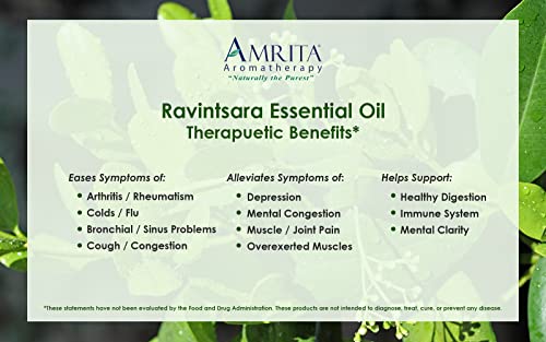 Amrita Aromaterapija Ravintsara Esencijalno ulje, čisto nerazređeno Cinnamomum Camphora, premium aromaterapija ulje, testirana i provjerena, USDA organska, 10ml