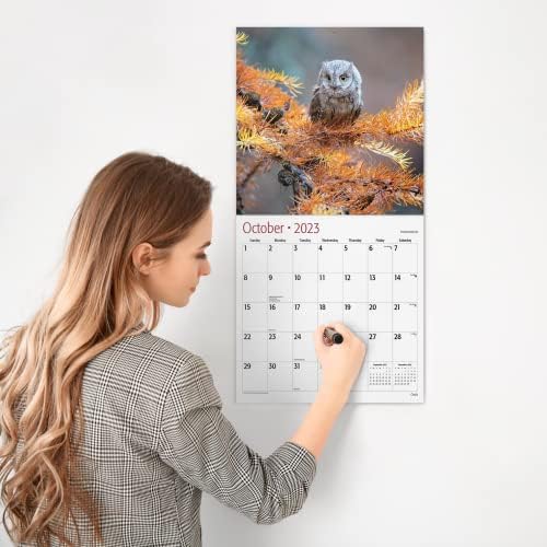 Red Ember Sove 2023 Mesenski zidni kalendar | 12 x 24 otvoren | Gust i čvrst papir | Podijnji | Mudar izbor