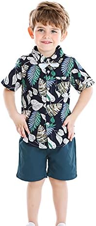 Junneng Toddler Baby Boy Hotsas setovi Havajska odjeća, dijete za dijete napuštaju cvjetnu majicu kratkih rukava Top + Hraštaci odijela