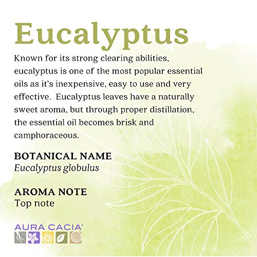 Aura Cacia čista eukaliptus esencijalno ulje | GC / MS testiran za čistoću | 15 ml | Eucalyptus globulus