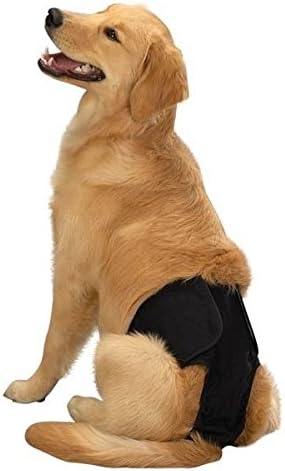 ClearQuest & Clean Go muške pantalone - pelene za prekršavanje pamuka za pse