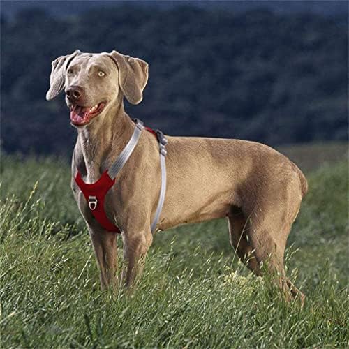 GPPZM PET PIST PISM, prsluk, nepenzijski ogrlica za pse, pogodan za kućne ljubimce za srednje i velike pse