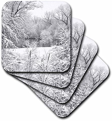 3drose Snow Storm Fresh Snow snimljen na rijeci Huron u Ann Arboru , Michigan - keramički podmetači za pločice, Set od 4 komada
